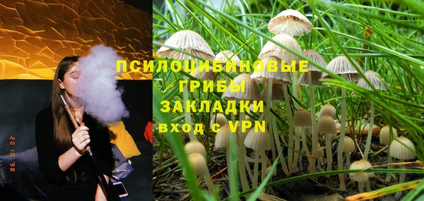 шишки Армянск